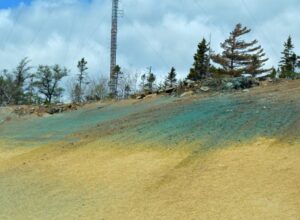 Construction Site Covered In Hydroseed in Darwin