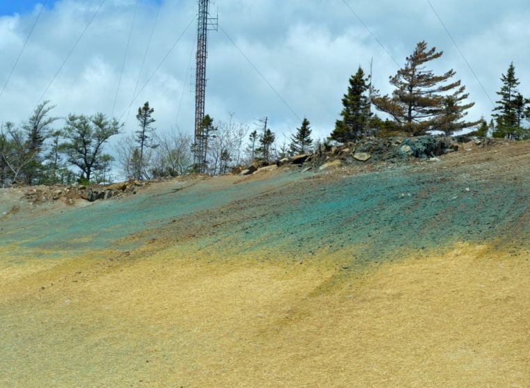 Construction Site Covered In Hydroseed in Darwin