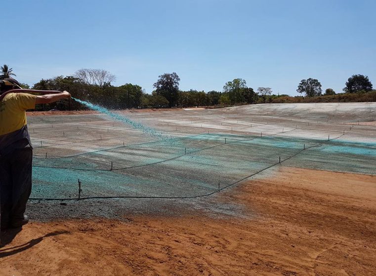 Spray Grass in Northern Territory Spray Grass Industries