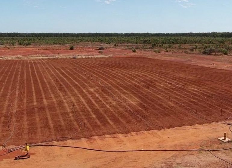 Soil Supply and Levelling For Your Project — Spray Grass in Northern Territory
